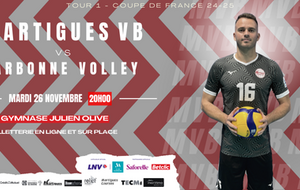 COUPE DE FRANCE PRO : MARTIGUES REÇOIT NARBONNE VOLLEY !