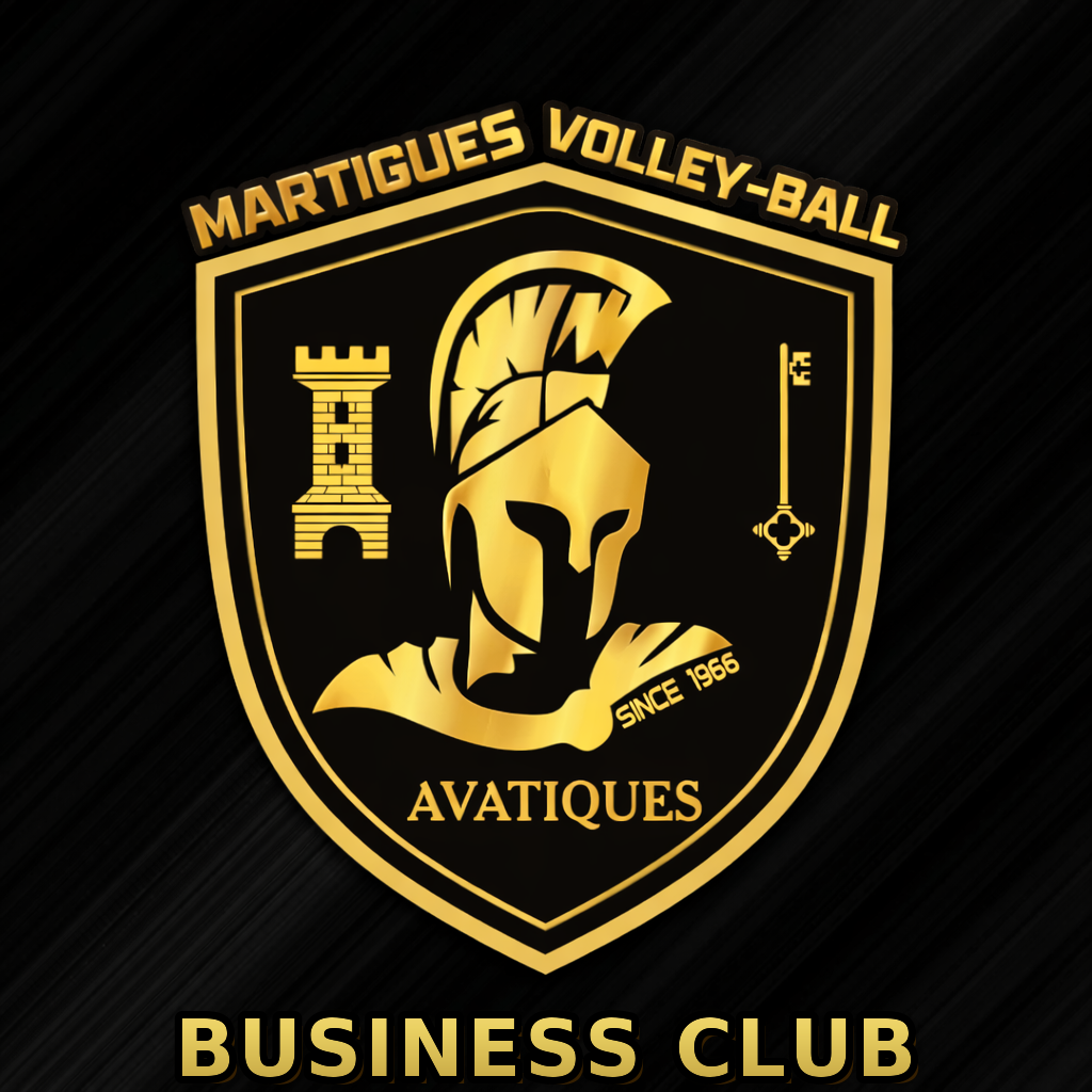 Membres et partenaires de l'Avatique Business Club avec les joueurs du Martigues Volley-Ball