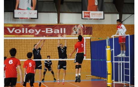 M17: Toutes les photos des Sang et Or 